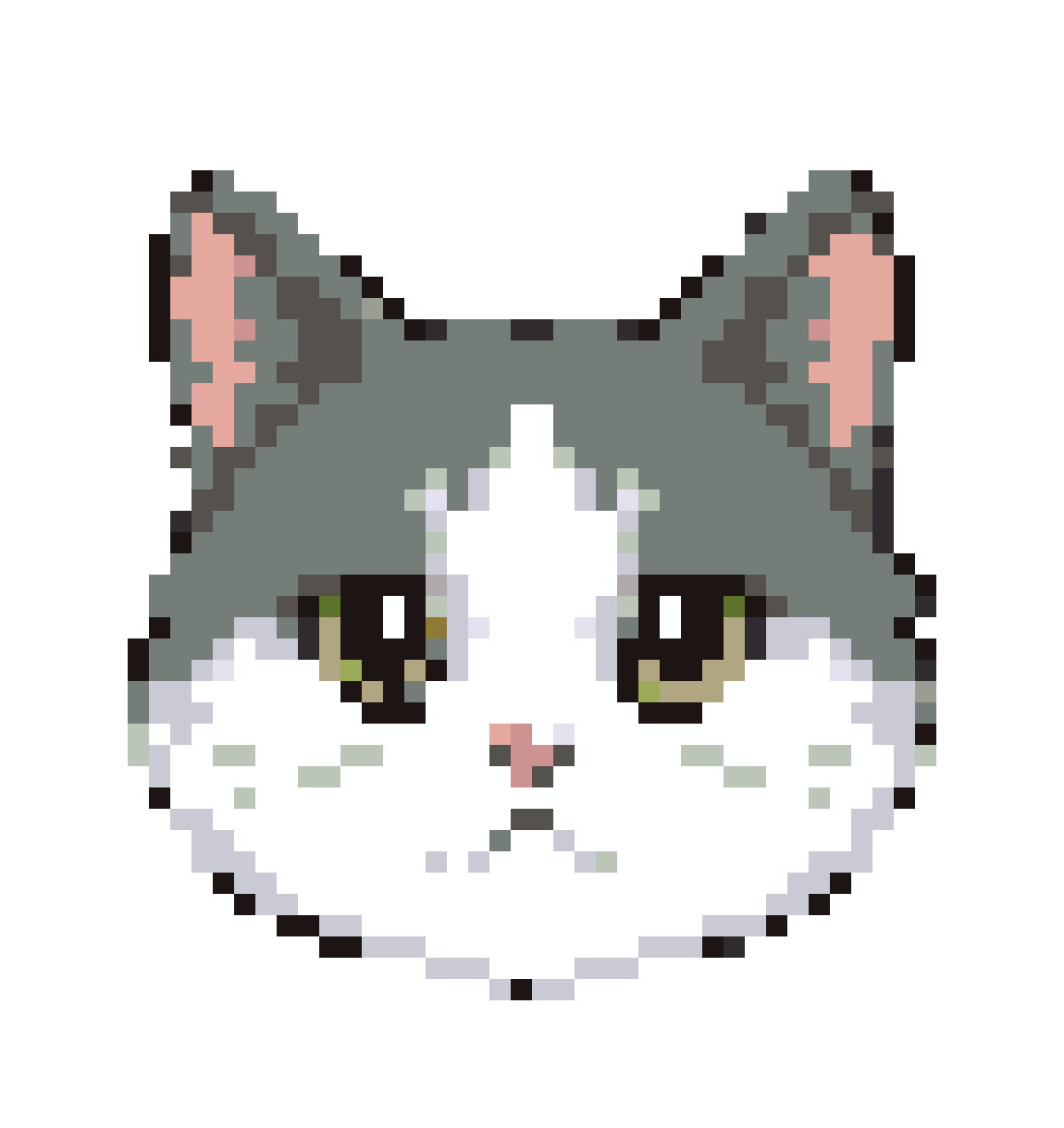 猫猫头像